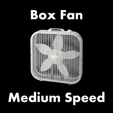 Box Fan - Medium Speed