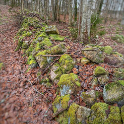 Borderscape