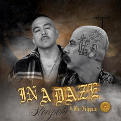 In a Daze