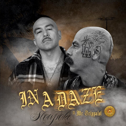 In a Daze