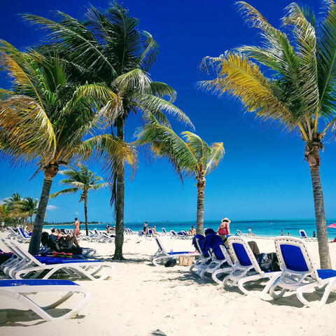 Life Is a Beach