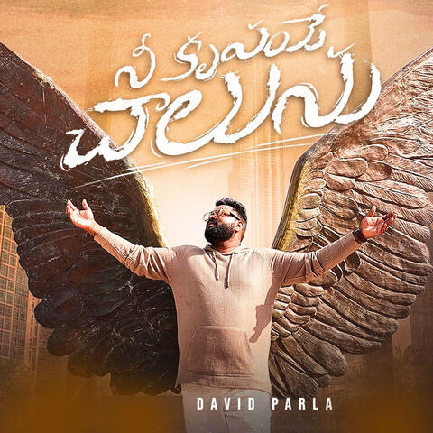 నీ కృపయే చాలును