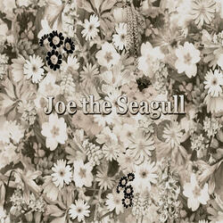 Joe the Seagull