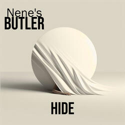 Hide