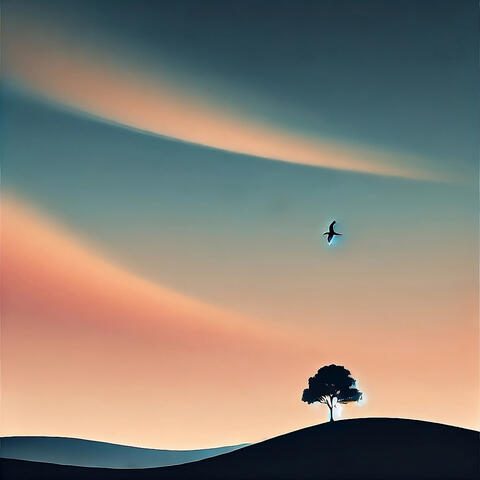 In the Sky
