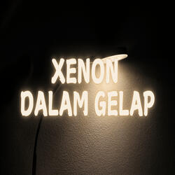 Xenon Dalam Gelap