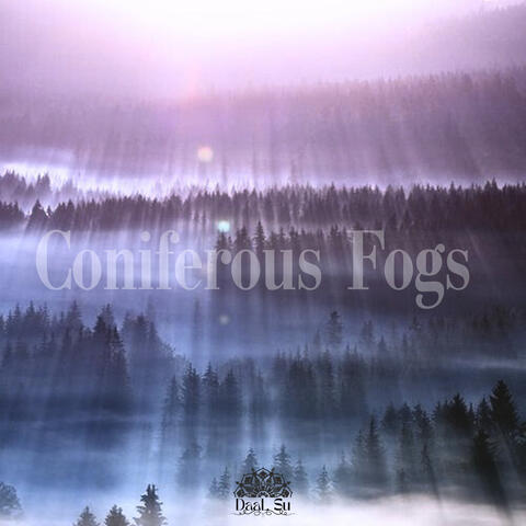 Coniferous Fogs
