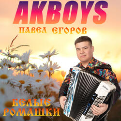 Белые ромашки