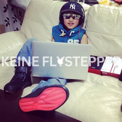 Keine Flystepper