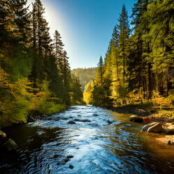 Tranquil River Stream