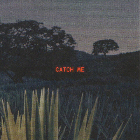 Catch Me