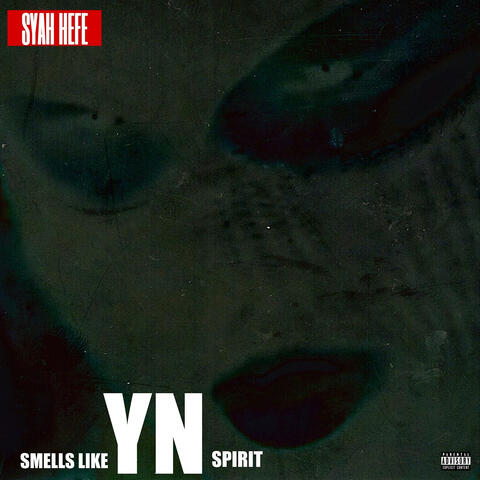 Smells Like Yn Spirit