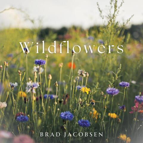 Wildflowers
