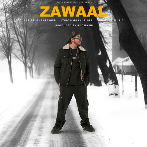 Zawaal