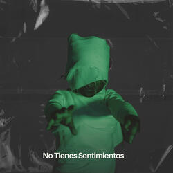 No Tienes Sentimientos