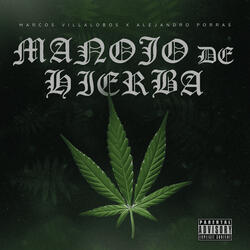 Manojo De Hierba