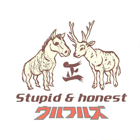 Love Song Best "Stupid & Honest"