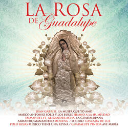 La Guadalupana