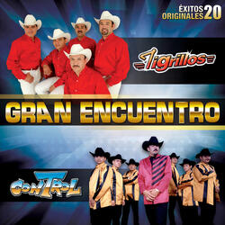 Cumbia Del Sol