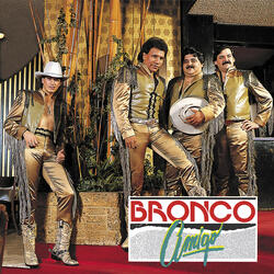 Amigo Bronco