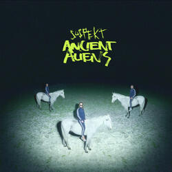 Der Sort i Mine Øjne