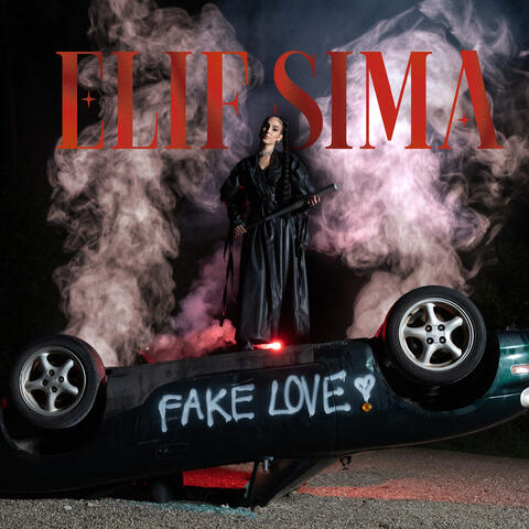 Fake Love