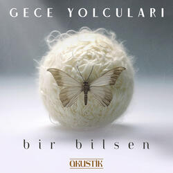 Bir Bilsen