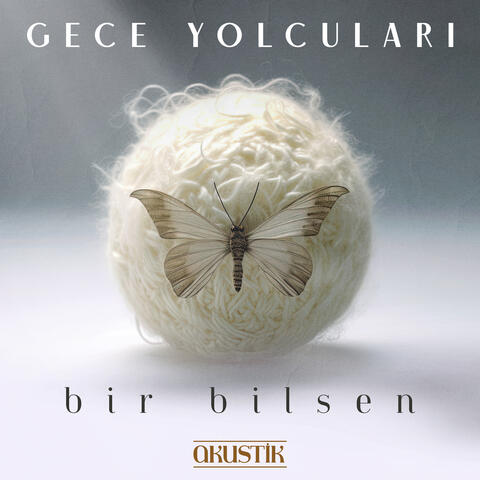 Bir Bilsen