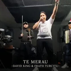 Te Merau