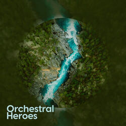 Confusion in the Kitchen