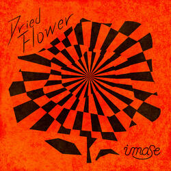 Dried Flower