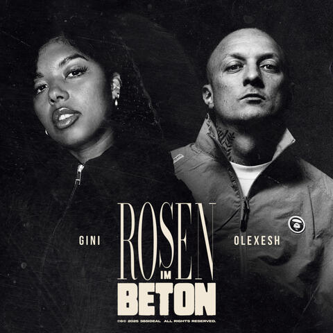 Rosen im Beton