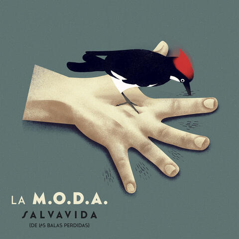 Salvavida