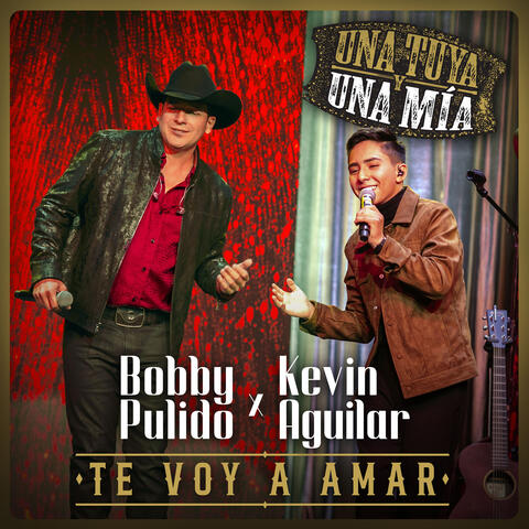 Te Voy A Amar