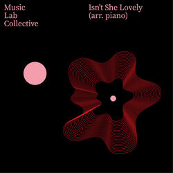 Isn't She Lovely (Arr. Piano)