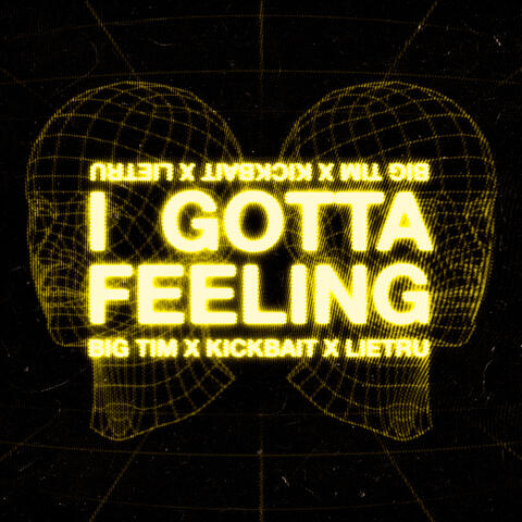 I Gotta Feeling