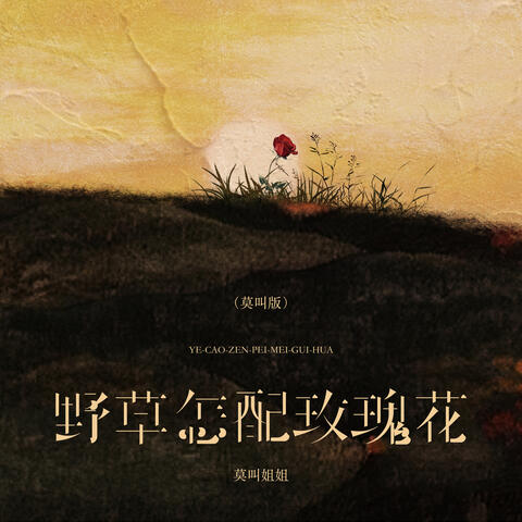 野草怎配玫瑰花