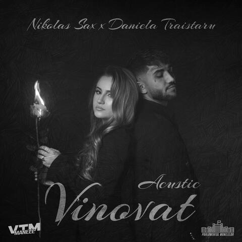 Vinovat