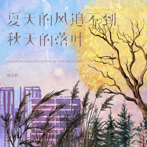 夏天的风追不到秋天的落叶