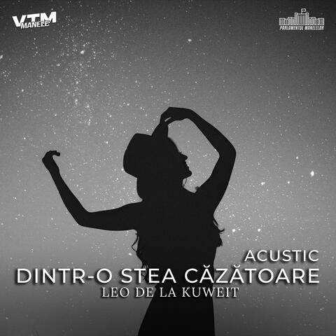Dintr-o stea căzătoare