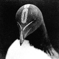 Chröm