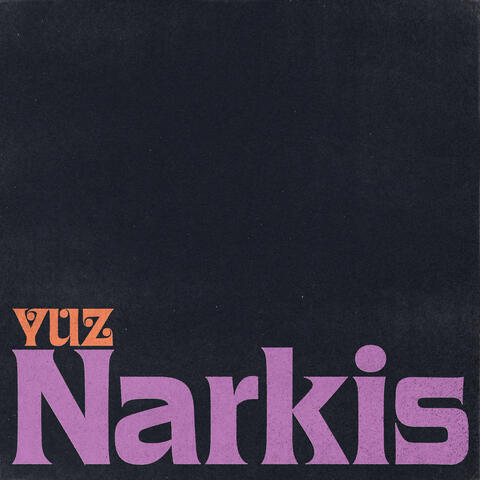 Narkis