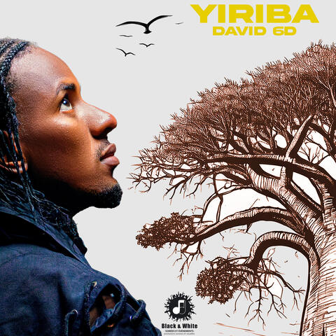 YIRIBA