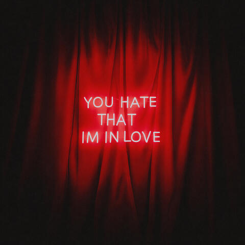 You Hate That I’m In Love