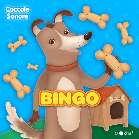 Bingo