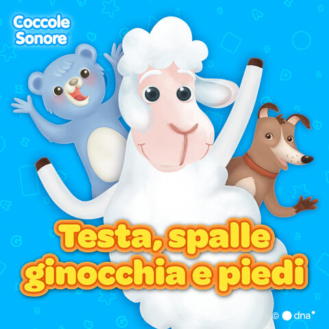 Testa spalle ginocchia e piedi