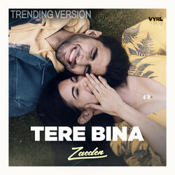 tere bina