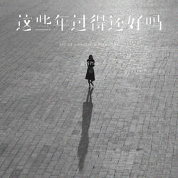 这些年过得还好吗