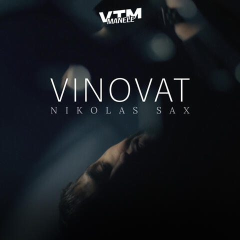Vinovat