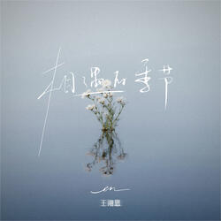 相遇的季节